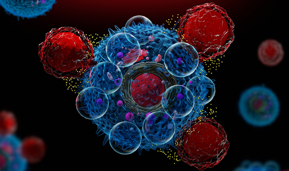 سه برابر شدن آنتی ژن های مورد نظر روی سلول های سرطانی با رویکرد جدید درمان با سلول‌های CAR-T برای سرطان‌های سلول B